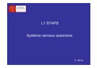 L1 STAPS Système nerveux autonome