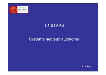 L1 STAPS Système nerveux autonome