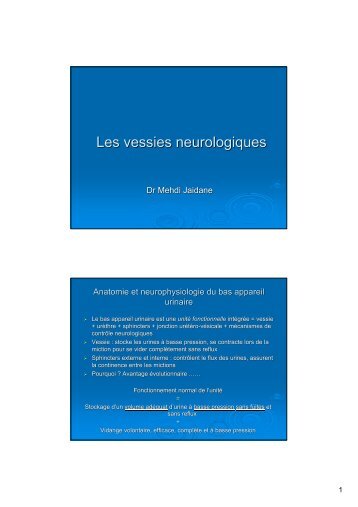 Les vessies neurologiques - Les fuites urinaires