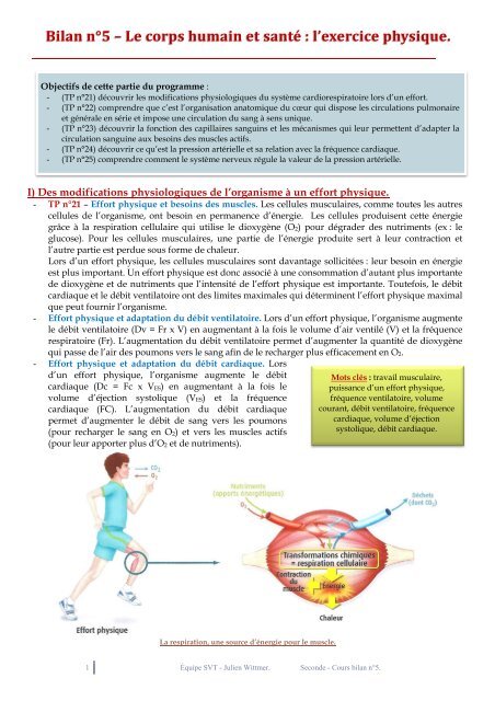 Bilan n°5 – Le corps humain et santé : l'exercice physique. - Nordnet