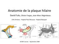 Anatomie de la plaque hilaire
