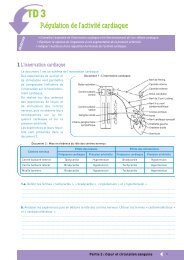 TD 3 - EM|consulte