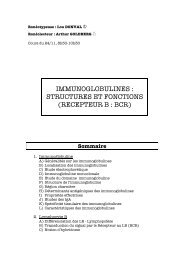 immunoglobulines : structures et fonctions - L2 Bichat 2011-2012