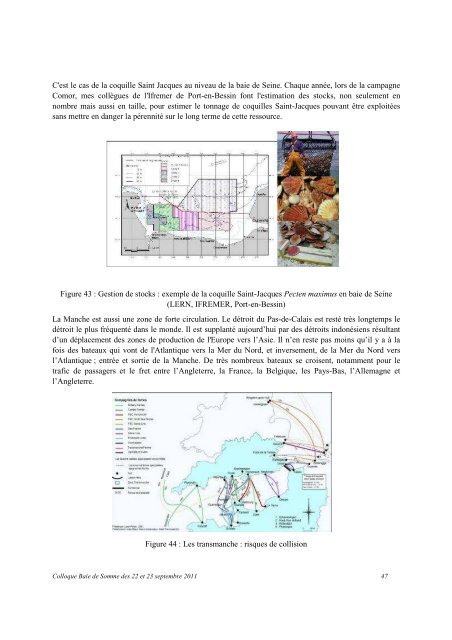 Actes du COLLOQUE BAIE DE SOMME - Syndicat Mixte Baie de ...