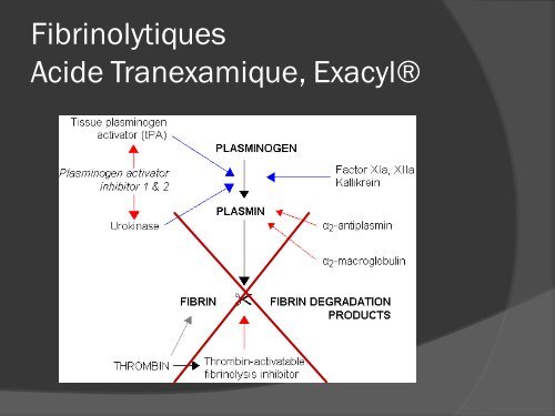 Epargne transfusionnelle en orthopedie traumatologie