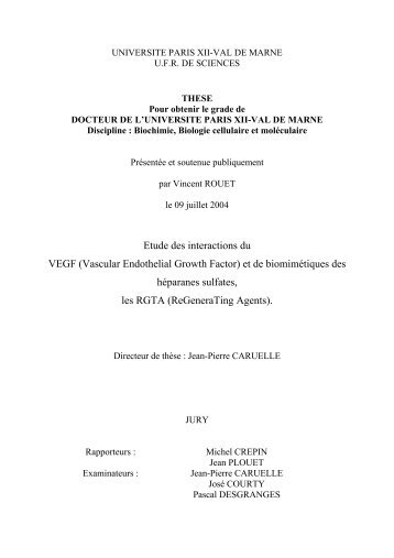 Etude des interactions du VEGF (Vascular Endothelial Growth Factor)