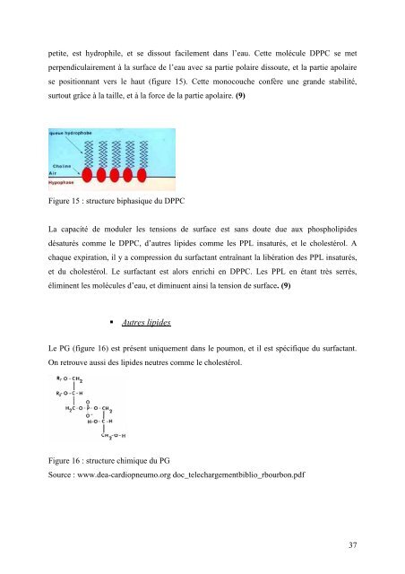 these - Université de Franche-Comté