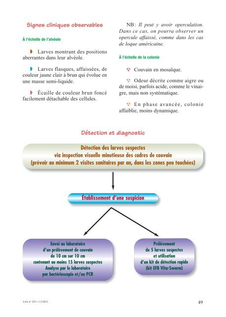 La loque européenne