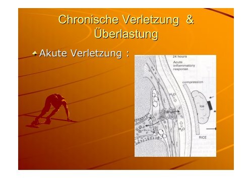 traumatologie - Sportmedizin, Prävention und Rehabilitation