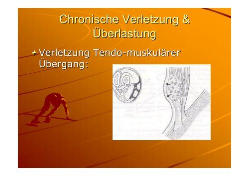 traumatologie - Sportmedizin, Prävention und Rehabilitation