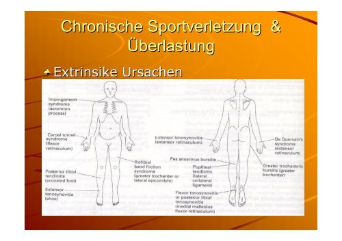 traumatologie - Sportmedizin, Prävention und Rehabilitation