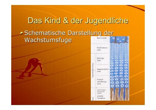 traumatologie - Sportmedizin, Prävention und Rehabilitation