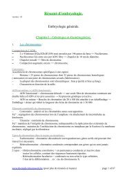 Embryologie resume v1.0 - TMT - The Medical Teamwork