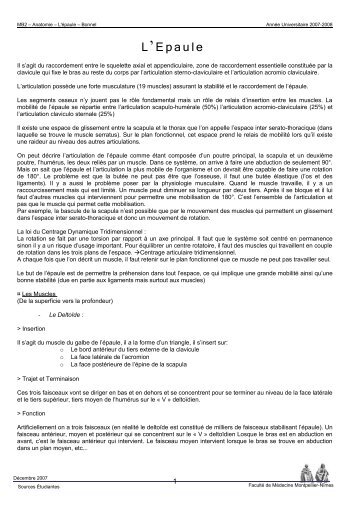 Anatomie – L'épaule - Faculté de médecine de Montpellier