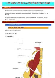 Corps vertébral - Anatomie Toulouse-Purpan