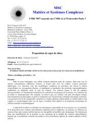 Interactions réciproques cellule-cellule et cellule-substrat