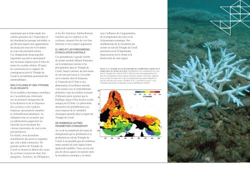 LE TRIANGLE DE CORAIL FACE AU CHANGEMENT CLIMATIQUE ...