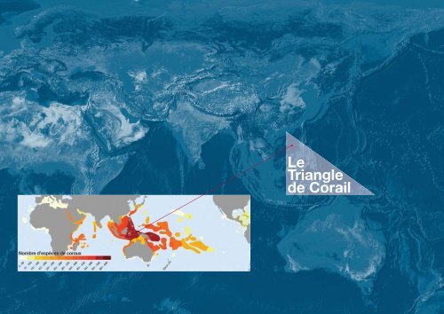 LE TRIANGLE DE CORAIL FACE AU CHANGEMENT CLIMATIQUE ...