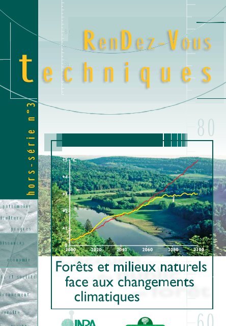 Les forêts d'algues, un outil efficace contre le changement climatique