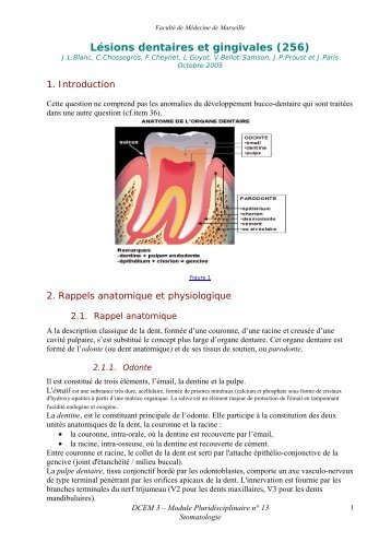 La palpation des tables osseuses en regard de l'apex - Serveur ...