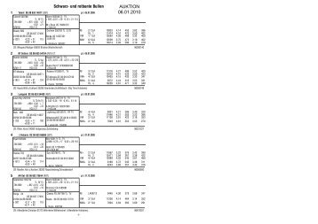 Auktionskatalog 06.01.2010