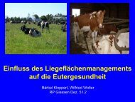 Einfluss des Liegflächenmanagements auf die Eutergesundheit