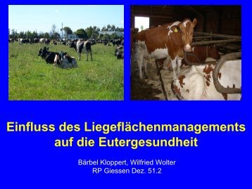 Einfluss des Liegflächenmanagements auf die Eutergesundheit