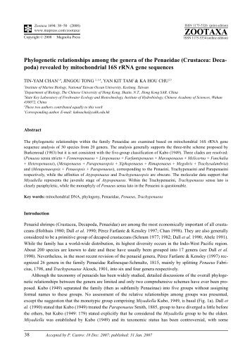 Zootaxa,Phylogenetic relationships among the genera of the ...