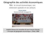 Géographie des activités - La Géographie à Dijon