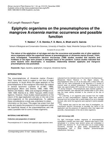 Epiphytic organisms on the pneumatophores of the mangrove ...