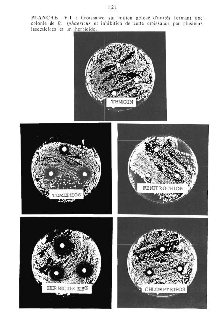 Influence de facteurs biotiques et abiotiques, induits et ... - IRD