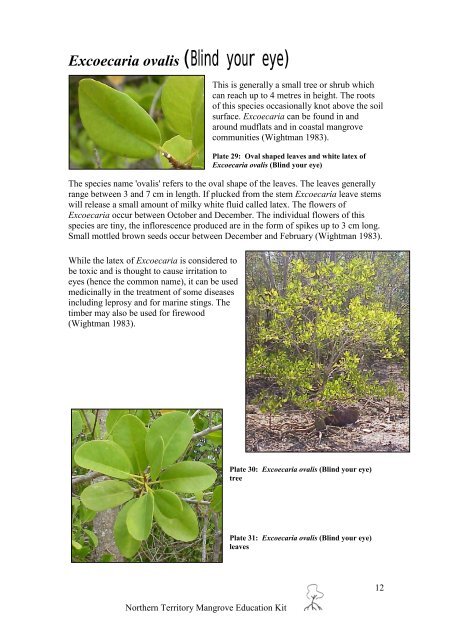 Mangroves in the Northern Territory - Department of Land Resource ...