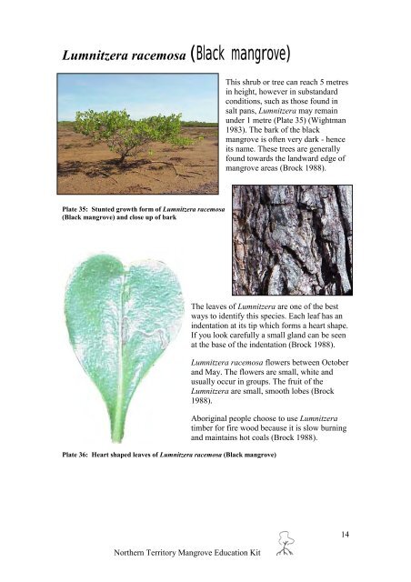 Mangroves in the Northern Territory - Department of Land Resource ...