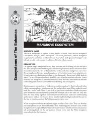 Mangroves Fact Sheet - The Bahamas National Trust