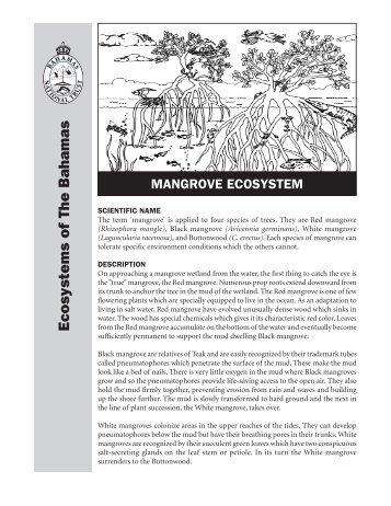 Mangroves Fact Sheet - The Bahamas National Trust