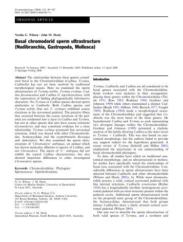 Basal chromodorid sperm ultrastructure ... - Auburn University