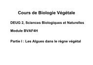 Cours de Biologie Végétale