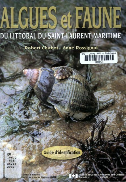 Algues et Faune du littoral du saint-laurent maritime - Pêches et ...