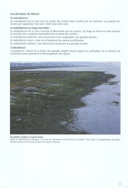 Algues et Faune du littoral du saint-laurent maritime - Pêches et ...