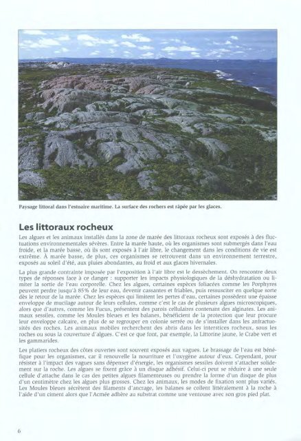 Algues et Faune du littoral du saint-laurent maritime - Pêches et ...