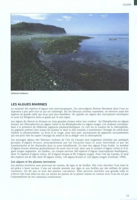 Algues et Faune du littoral du saint-laurent maritime - Pêches et ...