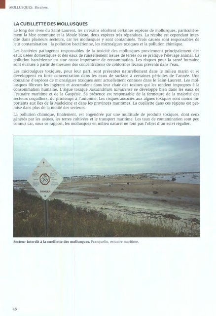 Algues et Faune du littoral du saint-laurent maritime - Pêches et ...