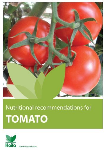 Tomato - Haifa-Group