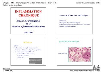 INFLAMMATION CHRONIQUE - Faculté de médecine de Montpellier