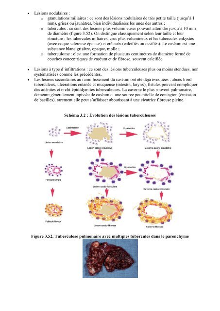 Collège pathologie inflammation.pdf
