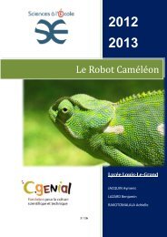 Robot caméléon - Sciences à l'Ecole