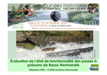 Évaluation de l'état de fonctionnalité des passes à poissons de ...