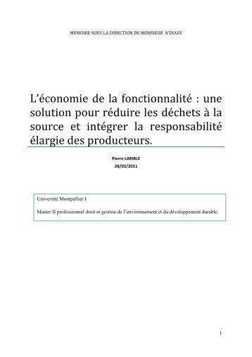 Mémoire - économie de la fonctionnalité..pdf