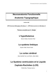 Neuroanatomie Fonctionnelle Anatomie Topographique L ...