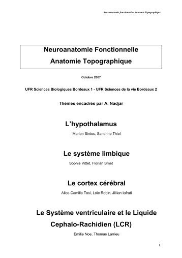 Neuroanatomie Fonctionnelle Anatomie Topographique L ...